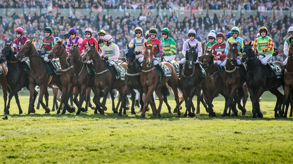 Lining up at the start of the Grand National