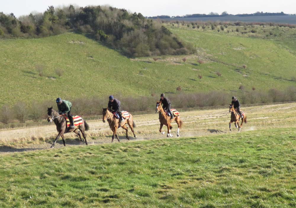 Horses from Alan King's Barbury Castle Yard