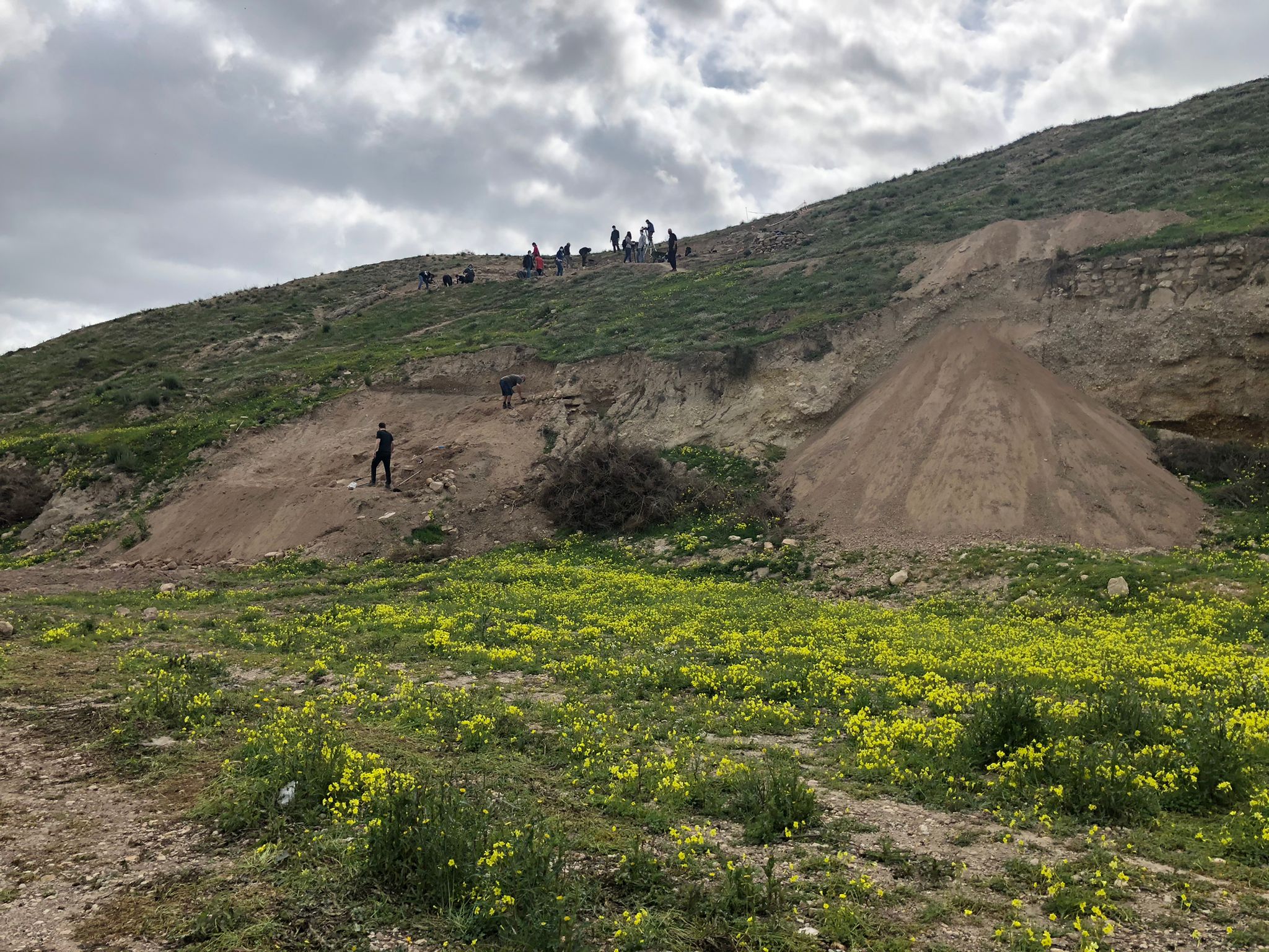 Excavations begin at the Los Saladares site