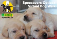 Virtual Dog Walk on the Costa Blanca to raise money for guide dogs Virtual Dog Walk to raise money for guide dogs