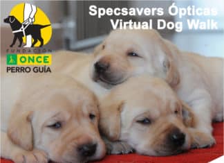 Virtual Dog Walk on the Costa Blanca to raise money for guide dogs Virtual Dog Walk to raise money for guide dogs