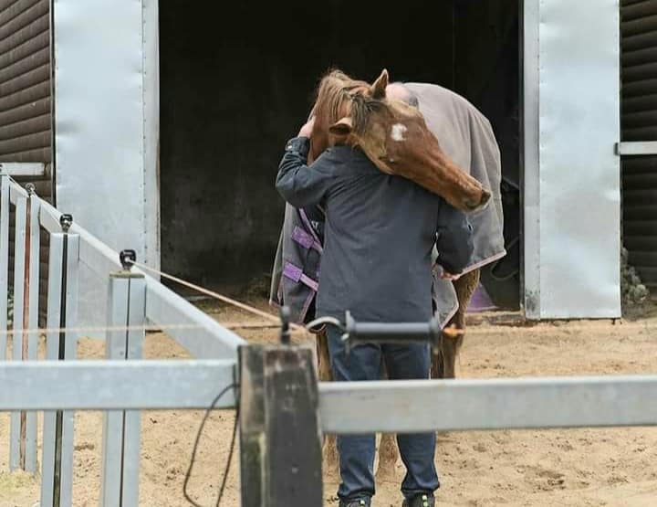 A hug for Definitly Red from trainer Brian Ellison. Photo: Brian Ellison Racing.