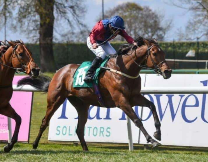 Mick Channon trained Storting ridden by Tony Hamilton won Cliff Stud Thirsk Hunt Cup.