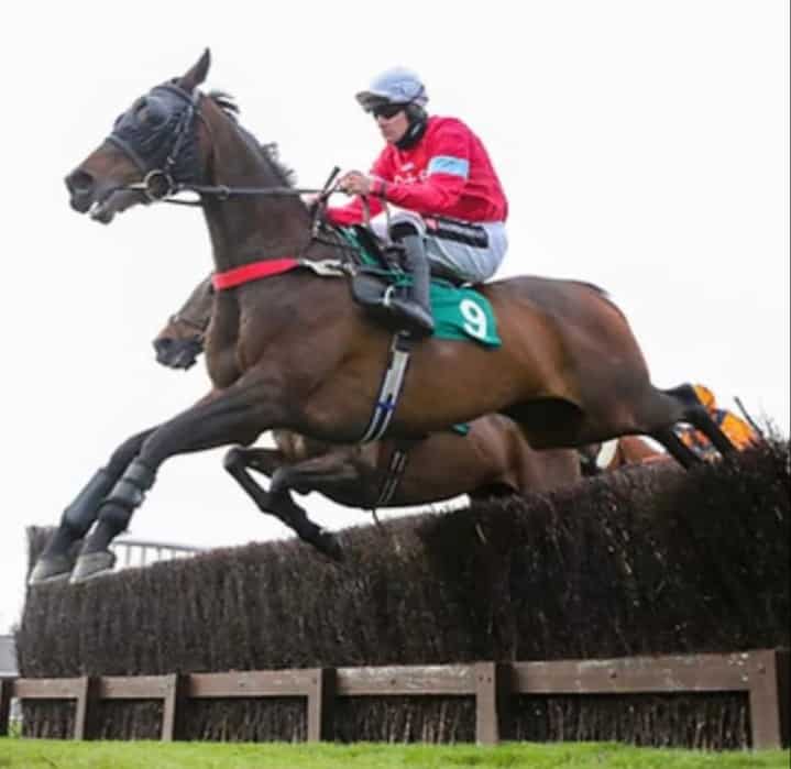 Cartmel trainer James Moffatt saddled Burbank to win at Aintree on May 14 under Brian Hughes.