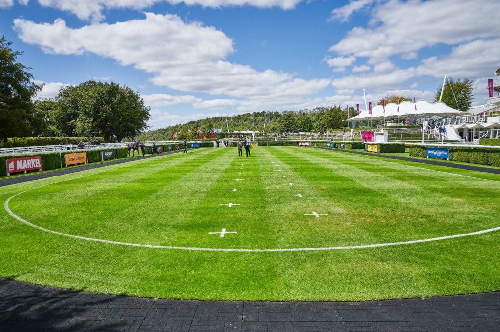 SUMMERGHAND EYES GLORY AT GOODWOOD