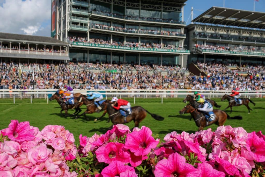 Snowfall English, Irish and Darley Yorkshire Oaks bid