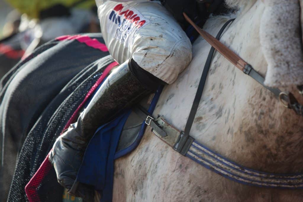 fromthehorsesmouth.info cleans up at Bath with 146-1 treble!