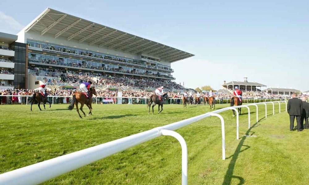 St Mark's Basilica Irish Champion Stakes fromthehorsesmouth.info double